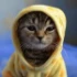 Avatar de betzone