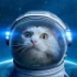 Avatar de fastnova